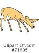 Deer Clipart #71605 by Lal Perera