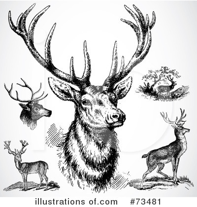 Royalty-Free (RF) Deer Clipart Illustration by BestVector - Stock Sample #73481