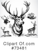 Deer Clipart #73481 by BestVector