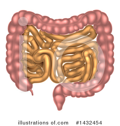 Royalty-Free (RF) Digestion Clipart Illustration by AtStockIllustration - Stock Sample #1432454