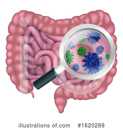 Royalty-Free (RF) Digestion Clipart Illustration by AtStockIllustration - Stock Sample #1620288