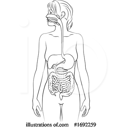 Royalty-Free (RF) Digestion Clipart Illustration by AtStockIllustration - Stock Sample #1692259