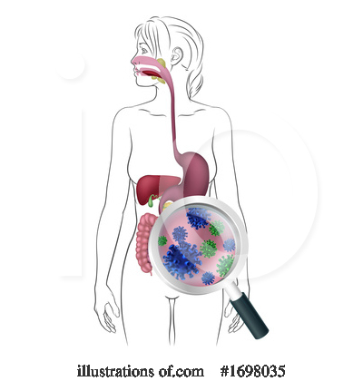 Digestive System Clipart #1698035 by AtStockIllustration