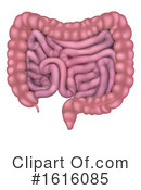 Digestive System Clipart #1616085 by AtStockIllustration