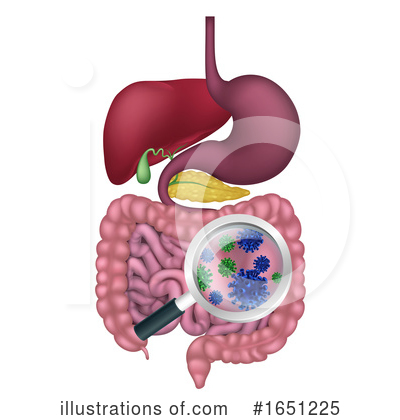 Intestines Clipart #1651225 by AtStockIllustration