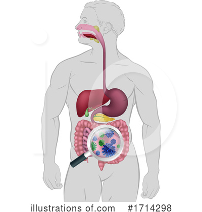 Royalty-Free (RF) Digestive System Clipart Illustration by AtStockIllustration - Stock Sample #1714298