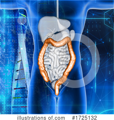 Royalty-Free (RF) Digestive System Clipart Illustration by KJ Pargeter - Stock Sample #1725132