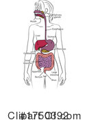 Digestive System Clipart #1750392 by AtStockIllustration