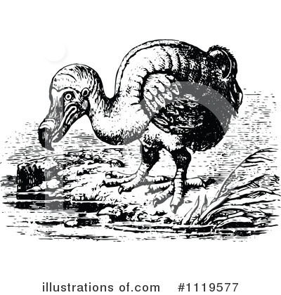 Royalty-Free (RF) Dodo Bird Clipart Illustration by Prawny Vintage - Stock Sample #1119577
