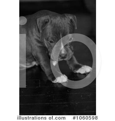 Royalty-Free (RF) Dog Clipart Illustration by Kenny G Adams - Stock Sample #1060598
