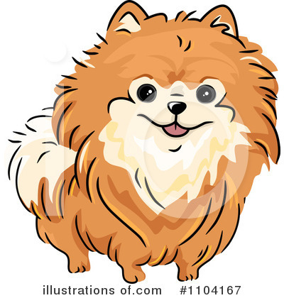 Pomeranian Clipart #1104167 by BNP Design Studio