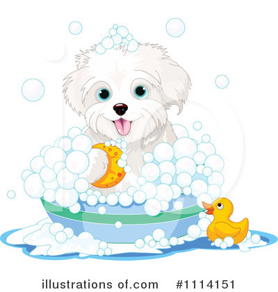 Bichon Frise Clipart #1114151 by Pushkin