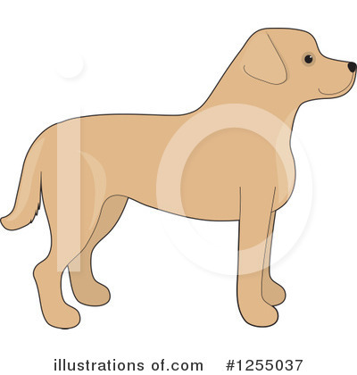 Labrador Clipart #1255037 by Maria Bell
