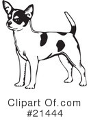 Dogs Clipart #21444 by David Rey