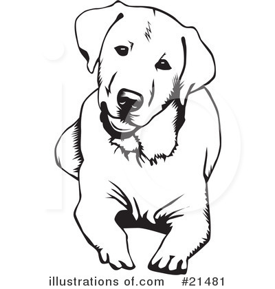 Labrador Clipart #21481 by David Rey