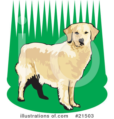 Golden Retriever Clipart #21503 by David Rey