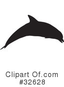 Dolphin Clipart #32628 by KJ Pargeter