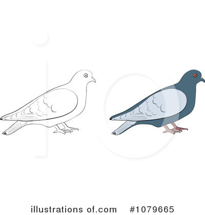 Royalty-Free (RF) Dove Clipart Illustration by Andrei Marincas - Stock Sample #1079665
