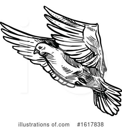 Royalty-Free (RF) Dove Clipart Illustration by Vector Tradition SM - Stock Sample #1617838
