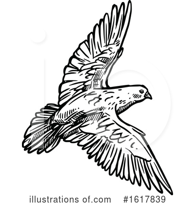 Royalty-Free (RF) Dove Clipart Illustration by Vector Tradition SM - Stock Sample #1617839