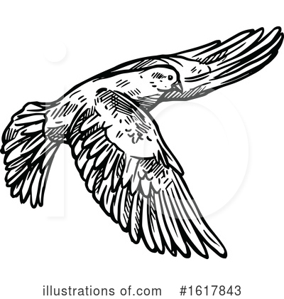 Royalty-Free (RF) Dove Clipart Illustration by Vector Tradition SM - Stock Sample #1617843