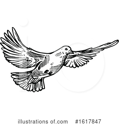 Royalty-Free (RF) Dove Clipart Illustration by Vector Tradition SM - Stock Sample #1617847