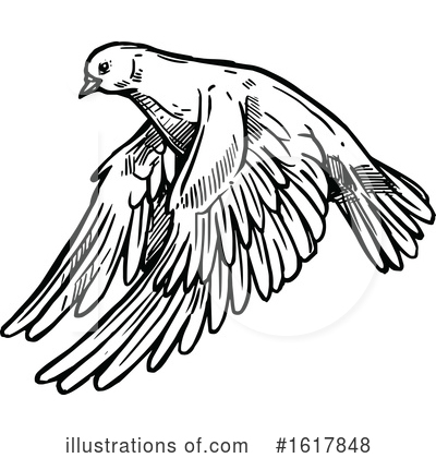 Royalty-Free (RF) Dove Clipart Illustration by Vector Tradition SM - Stock Sample #1617848