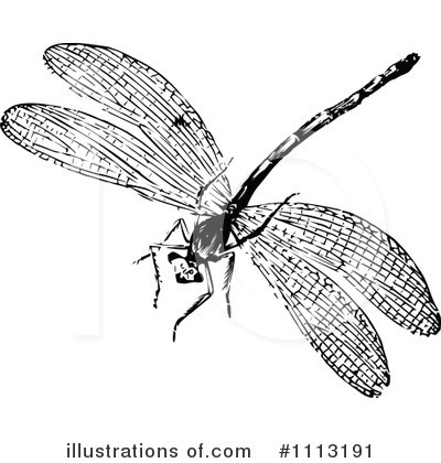 Royalty-Free (RF) Dragonfly Clipart Illustration by Prawny Vintage - Stock Sample #1113191