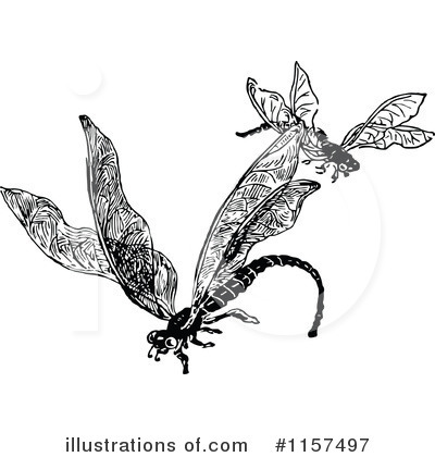 Royalty-Free (RF) Dragonfly Clipart Illustration by Prawny Vintage - Stock Sample #1157497