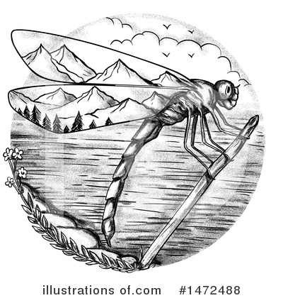 Dragonfly Clipart #1472488 by patrimonio