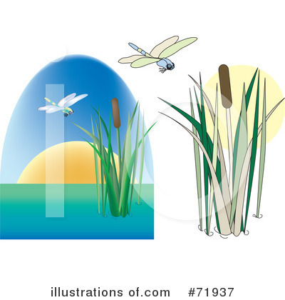 Royalty-Free (RF) Dragonfly Clipart Illustration by inkgraphics - Stock Sample #71937