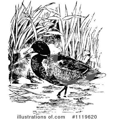 Royalty-Free (RF) Duck Clipart Illustration by Prawny Vintage - Stock Sample #1119620