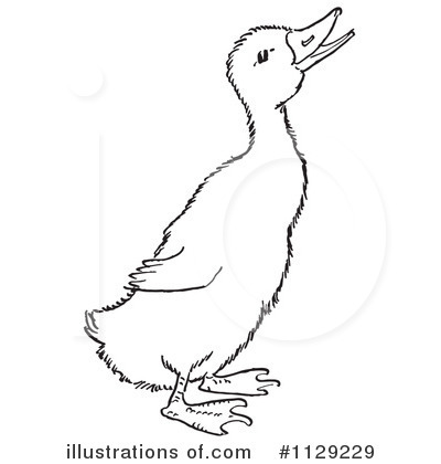 Royalty-Free (RF) Duck Clipart Illustration by Picsburg - Stock Sample #1129229