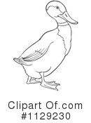 Duck Clipart #1129230 by Picsburg