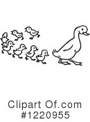 Duck Clipart #1220955 by Picsburg