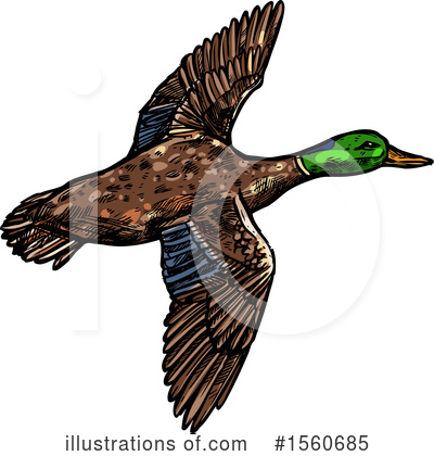 Duck Clipart #1560685 by Vector Tradition SM