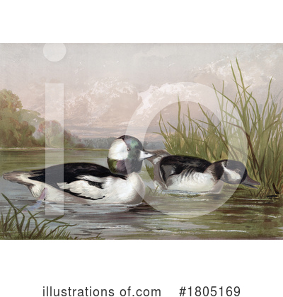 Duck Clipart #1805169 by JVPD