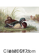 Duck Clipart #1805171 by JVPD