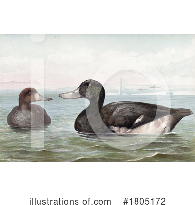 Duck Clipart #1805172 by JVPD