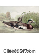 Duck Clipart #1805174 by JVPD