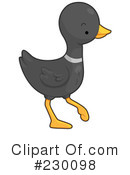 Duck Clipart #230098 by BNP Design Studio