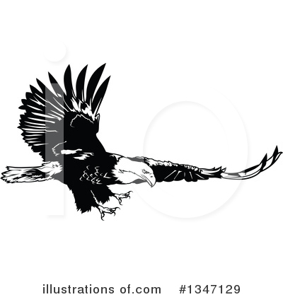 Royalty-Free (RF) Eagle Clipart Illustration by dero - Stock Sample #1347129