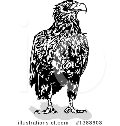 Royalty-Free (RF) Eagle Clipart Illustration by dero - Stock Sample #1383603