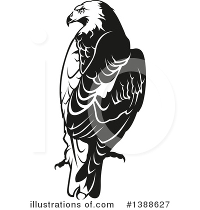 Royalty-Free (RF) Eagle Clipart Illustration by dero - Stock Sample #1388627