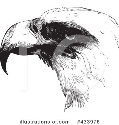 Royalty-Free (RF) Eagle Clipart Illustration by BestVector - Stock Sample #433976