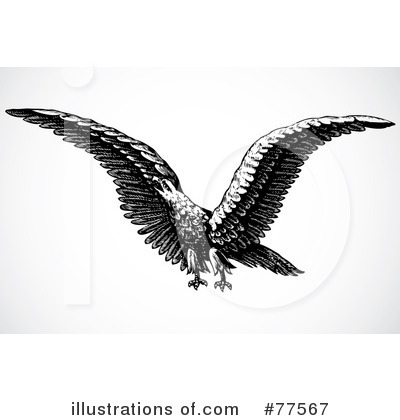 Royalty-Free (RF) Eagle Clipart Illustration by BestVector - Stock Sample #77567