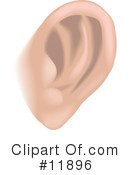 Ear Clipart #11896 by AtStockIllustration