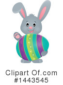 Easter Bunny Clipart #1443545 by visekart