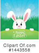 Easter Bunny Clipart #1443558 by visekart
