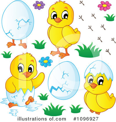 Chick Clipart #1096927 by visekart